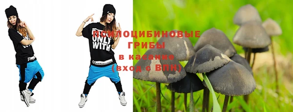 бошки Алексеевка