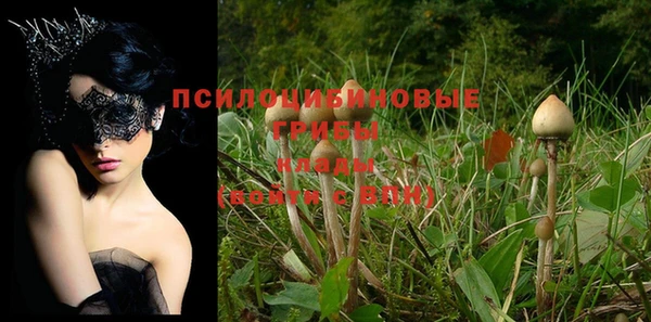 шишки Алексин