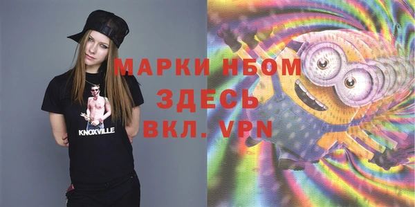 шишки Алексин