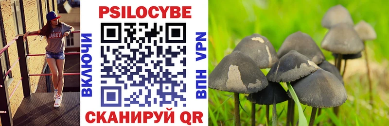 Псилоцибиновые грибы прущие грибы  Биробиджан 