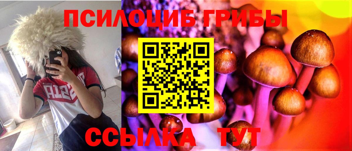 Псилоцибиновые грибы прущие грибы  Вход с VPN  Псилоцибиновые грибы ЛСД  Биробиджан 